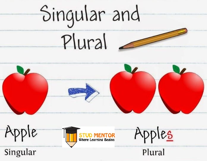 Linguistic humor, The English lesson –&nbsp;Plurals