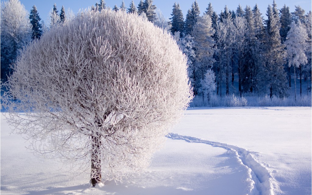 To Winter – poem by William&nbsp;Blake