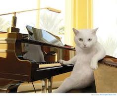 The Swearing Pianist –&nbsp;Joke