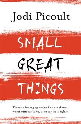 Small Great Things * Jodi Picault – or the story of the black nurse and the dead white&nbsp;baby